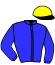 casaque portée par Besnier H. jockey du cheval de course INGRES, information pmu ZETURF