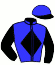 casaque portée par Van Den Troost Mme A. jockey du cheval de course WILD GYPSY BOY, information pmu ZETURF