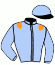 casaque portée par Dawson R. jockey du cheval de course CLARENDON HOUSE, information pmu ZETURF