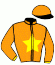 casaque portée par Velon Mlle M. jockey du cheval de course LA LOIRE, information pmu ZETURF