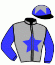casaque portée par Verhestraeten E. jockey du cheval de course SIRIUS SLEW, information pmu ZETURF
