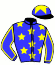 casaque portée par Peslier O. jockey du cheval de course SQUARE SAINT ROCH, information pmu ZETURF
