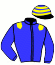 casaque portée par Mobian J. jockey du cheval de course CERA, information pmu ZETURF