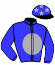 casaque portée par Engels Mme L.M. jockey du cheval de course LADY BIRCHWATER, information pmu ZETURF