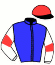 casaque portée par Engels Mme L.M. jockey du cheval de course MR VIRTUOSO, information pmu ZETURF