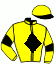 casaque portée par Bachelot T. jockey du cheval de course FIONA, information pmu ZETURF