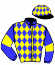 casaque portée par Nicco Mlle A. jockey du cheval de course BLEUSKY, information pmu ZETURF