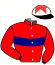 casaque portée par Lecoeuvre C. jockey du cheval de course RISE AND SHINE, information pmu ZETURF
