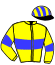casaque portée par Bachelot T. jockey du cheval de course BILLABONG CAT, information pmu ZETURF casaque portée par Bachelot T. jockey du cheval de course BILLABONG CAT, information pmu ZETURF