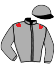 casaque portée par Lerner M. jockey du cheval de course BREATH OF FIRE, information pmu ZETURF
