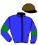 casaque portée par Pasquier S. jockey du cheval de course DARK ZEL, information pmu ZETURF