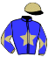 casaque portée par Piccone T. jockey du cheval de course TINETTE, information pmu ZETURF