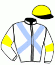 casaque portée par Velon Mlle M. jockey du cheval de course CIRANO, information pmu ZETURF