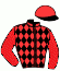 casaque portée par Demuro C. jockey du cheval de course MAX ZORIN, information pmu ZETURF