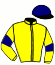 casaque portée par Besnier H. jockey du cheval de course GOLDEN ROCK, information pmu ZETURF casaque portée par Besnier H. jockey du cheval de course GOLDEN ROCK, information pmu ZETURF