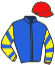 casaque portée par Boisseau L. jockey du cheval de course GRYPHON, information pmu ZETURF casaque portée par Boisseau L. jockey du cheval de course GRYPHON, information pmu ZETURF