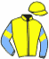 casaque portée par Le Gland Mlle C. jockey du cheval de course KHARKIV, information pmu ZETURF