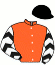 casaque portée par Bachelot T. jockey du cheval de course POLMINHAC, information pmu ZETURF casaque portée par Bachelot T. jockey du cheval de course POLMINHAC, information pmu ZETURF