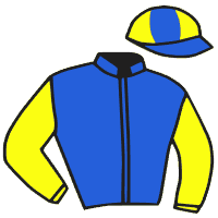 casaque portée par Vogt Mlle S. jockey du cheval de course DORAZIO, information pmu ZETURF casaque portée par Vogt Mlle S. jockey du cheval de course DORAZIO, information pmu ZETURF