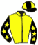casaque portée par Wolff L. jockey du cheval de course VICTORY VERTICAL, information pmu ZETURF