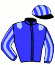 casaque portée par Guyon M. jockey du cheval de course MEDINA GOLD, information pmu ZETURF