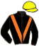 casaque portée par Corallo E. jockey du cheval de course BETTER TOMORROW, information pmu ZETURF casaque portée par Corallo E. jockey du cheval de course BETTER TOMORROW, information pmu ZETURF