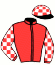 casaque portée par Boisseau L. jockey du cheval de course COLT PILOT, information pmu ZETURF