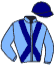 casaque portée par Trullier T. jockey du cheval de course PANNETONE, information pmu ZETURF casaque portée par Trullier T. jockey du cheval de course PANNETONE, information pmu ZETURF