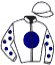 casaque portée par Doyle Mme Hol. jockey du cheval de course ACTION POINT, information pmu ZETURF