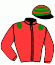 casaque portée par Velon Mlle M. jockey du cheval de course PARRHESIA, information pmu ZETURF casaque portée par Velon Mlle M. jockey du cheval de course PARRHESIA, information pmu ZETURF