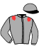 casaque portée par Demuro C. jockey du cheval de course WAHDAN, information pmu ZETURF