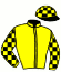 casaque portée par Boche Dam. jockey du cheval de course EVERSTAR, information pmu ZETURF casaque portée par Boche Dam. jockey du cheval de course EVERSTAR, information pmu ZETURF