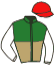 casaque portée par Lemaitre A. jockey du cheval de course FAZZANO, information pmu ZETURF casaque portée par Lemaitre A. jockey du cheval de course FAZZANO, information pmu ZETURF