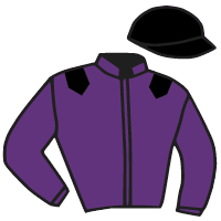 casaque portée par Guyon M. jockey du cheval de course PARFAITE MERILL, information pmu ZETURF