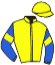 casaque portée par Le Gland Mlle C. jockey du cheval de course IT'S ALL A DREAM, information pmu ZETURF