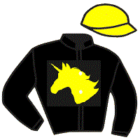 casaque portée par Hardouin E. jockey du cheval de course RIYAK, information pmu ZETURF