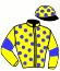 casaque portée par Lemaitre A. jockey du cheval de course UGATZAI, information pmu ZETURF casaque portée par Lemaitre A. jockey du cheval de course UGATZAI, information pmu ZETURF