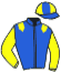 casaque portée par Mendizabal I. jockey du cheval de course ODIN, information pmu ZETURF