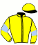 casaque portée par Demuro C. jockey du cheval de course BACCHILIDE, information pmu ZETURF casaque portée par Demuro C. jockey du cheval de course BACCHILIDE, information pmu ZETURF