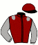 casaque portée par Demuro C. jockey du cheval de course ALERIO, information pmu ZETURF