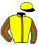 casaque portée par Hardouin E. jockey du cheval de course IRTYCH, information pmu ZETURF
