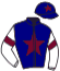casaque portée par Guyon M. jockey du cheval de course CIARAN, information pmu ZETURF