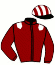 casaque portée par Pouchin A. jockey du cheval de course TOP SPIN, information pmu ZETURF