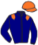 casaque portée par Guyon M. jockey du cheval de course INTUITION, information pmu ZETURF