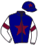 casaque portée par Demuro C. jockey du cheval de course LUMINESCE, information pmu ZETURF casaque portée par Demuro C. jockey du cheval de course LUMINESCE, information pmu ZETURF