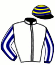 casaque portée par Doyle Mme Hol. jockey du cheval de course ALBASHEER, information pmu ZETURF casaque portée par Doyle Mme Hol. jockey du cheval de course ALBASHEER, information pmu ZETURF