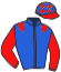casaque portée par Besnier H. jockey du cheval de course PLANTHALYA, information pmu ZETURF casaque portée par Besnier H. jockey du cheval de course PLANTHALYA, information pmu ZETURF