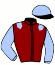 casaque portée par Trullier T. jockey du cheval de course FLORY DU NINIAN, information pmu ZETURF casaque portée par Trullier T. jockey du cheval de course FLORY DU NINIAN, information pmu ZETURF
