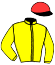 casaque portée par Guyon M. jockey du cheval de course LA LOUVIERE, information pmu ZETURF