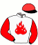 casaque portée par Hardouin E. jockey du cheval de course HIDDENSEE, information pmu ZETURF casaque portée par Hardouin E. jockey du cheval de course HIDDENSEE, information pmu ZETURF